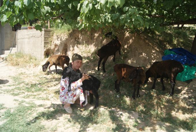 Women's group in Tajikistan demonstrates transformative gender roles in ...
